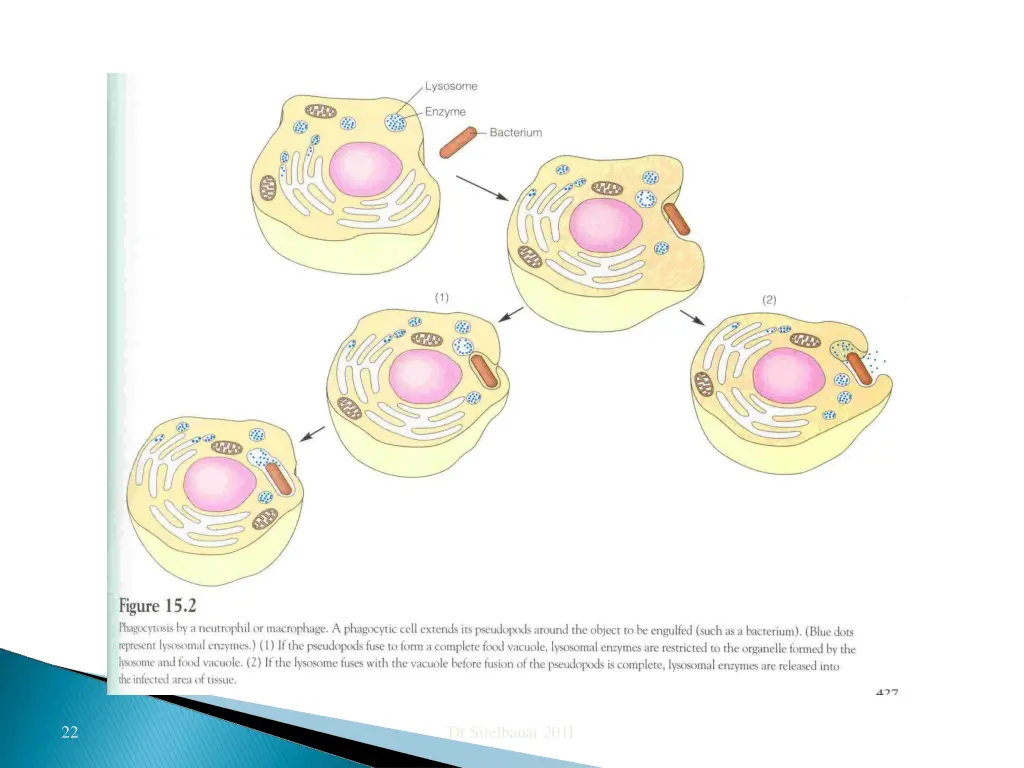 slide22