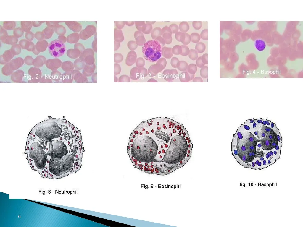 slide6