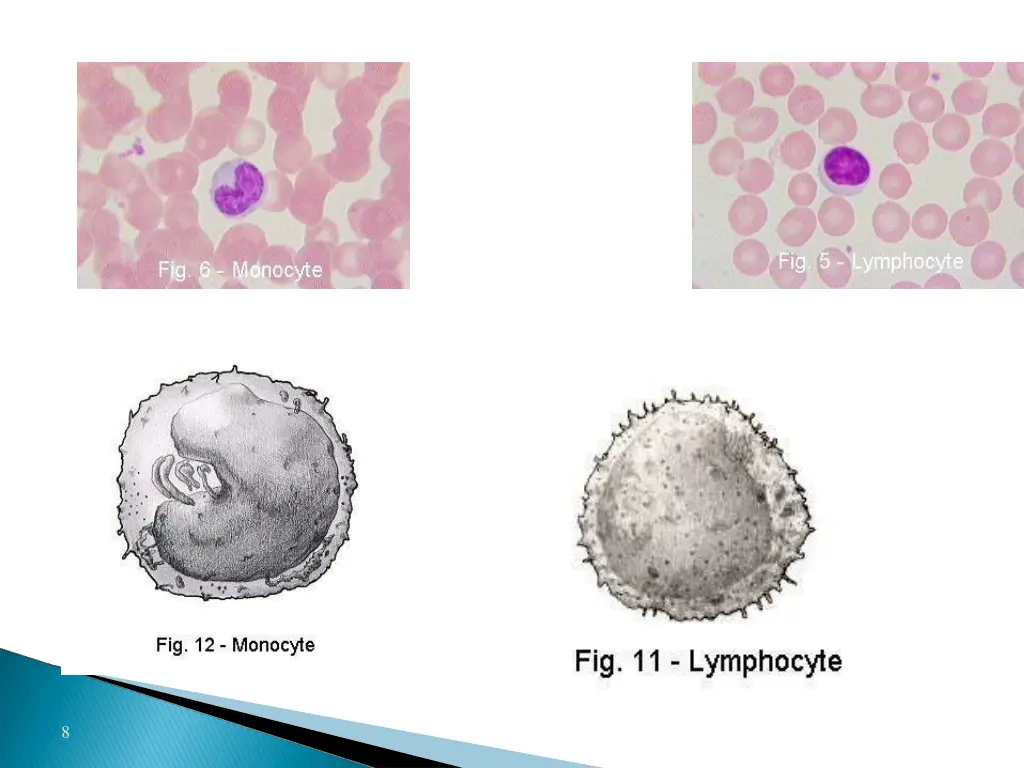 slide8