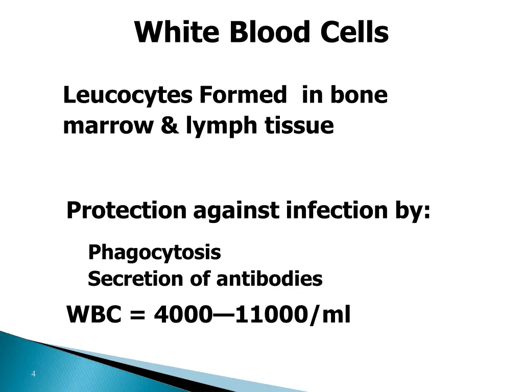 white blood cells