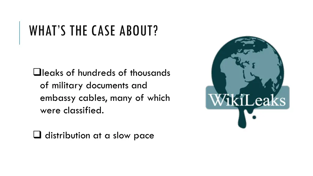 what s the case about