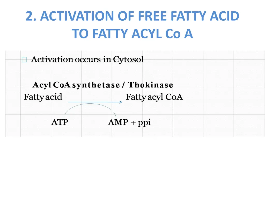 2 activation of free fatty acid to fatty acyl co a