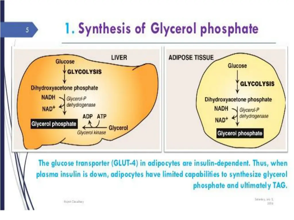 slide6