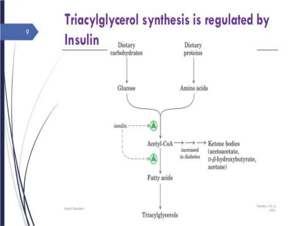 slide9