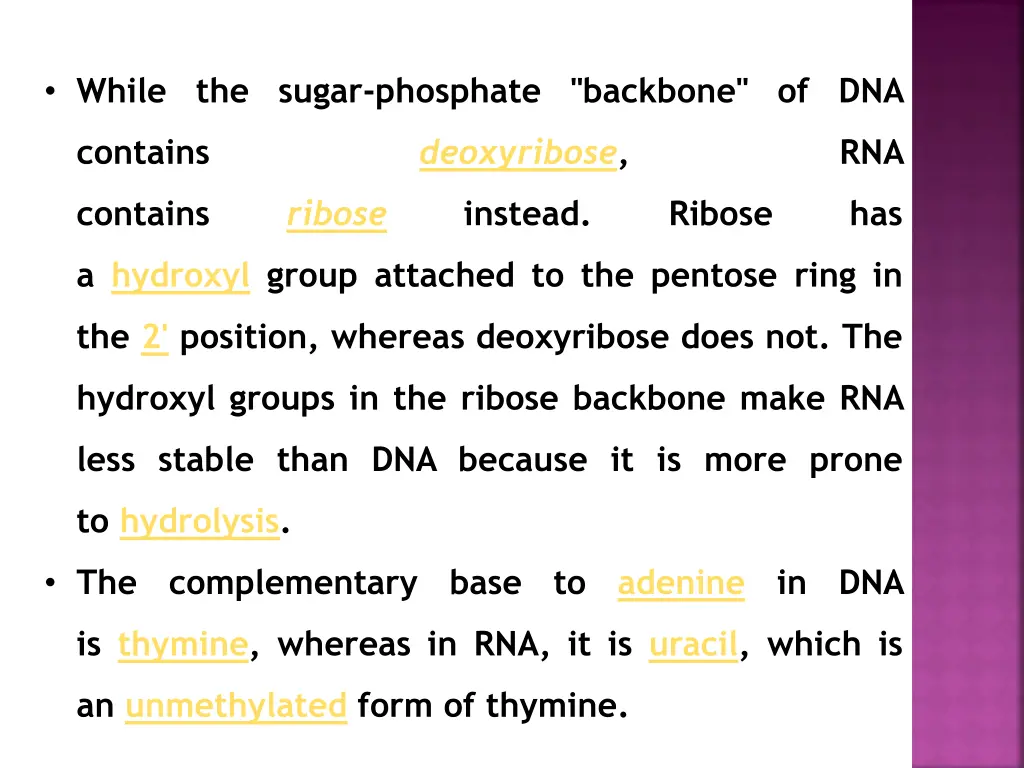while the sugar phosphate backbone of dna