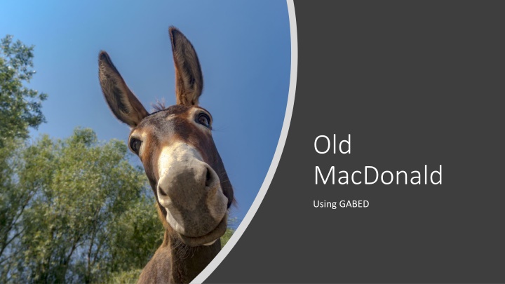 old macdonald