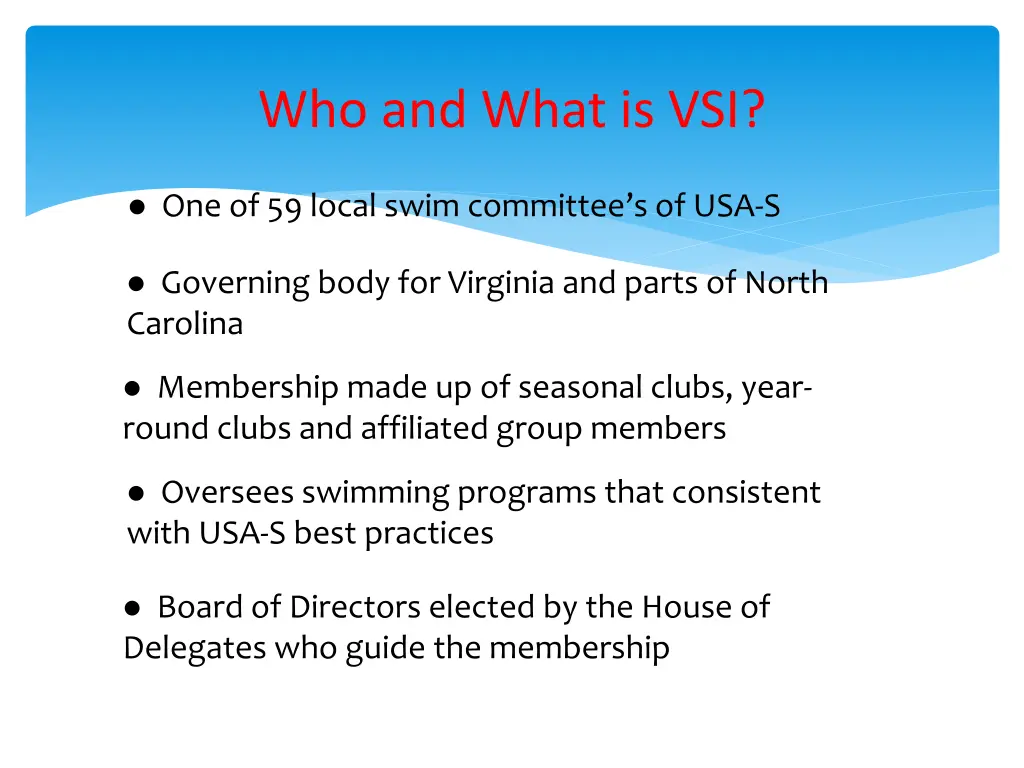 who and what is vsi