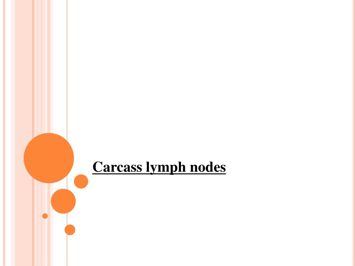 carcass lymph nodes