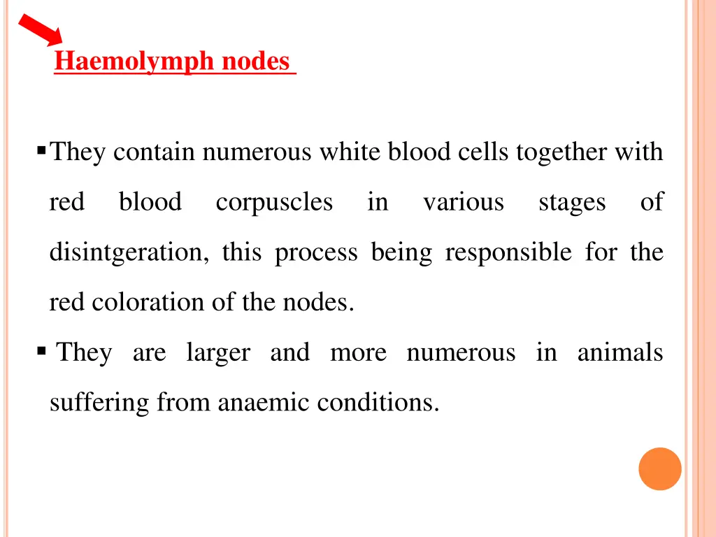 haemolymph nodes