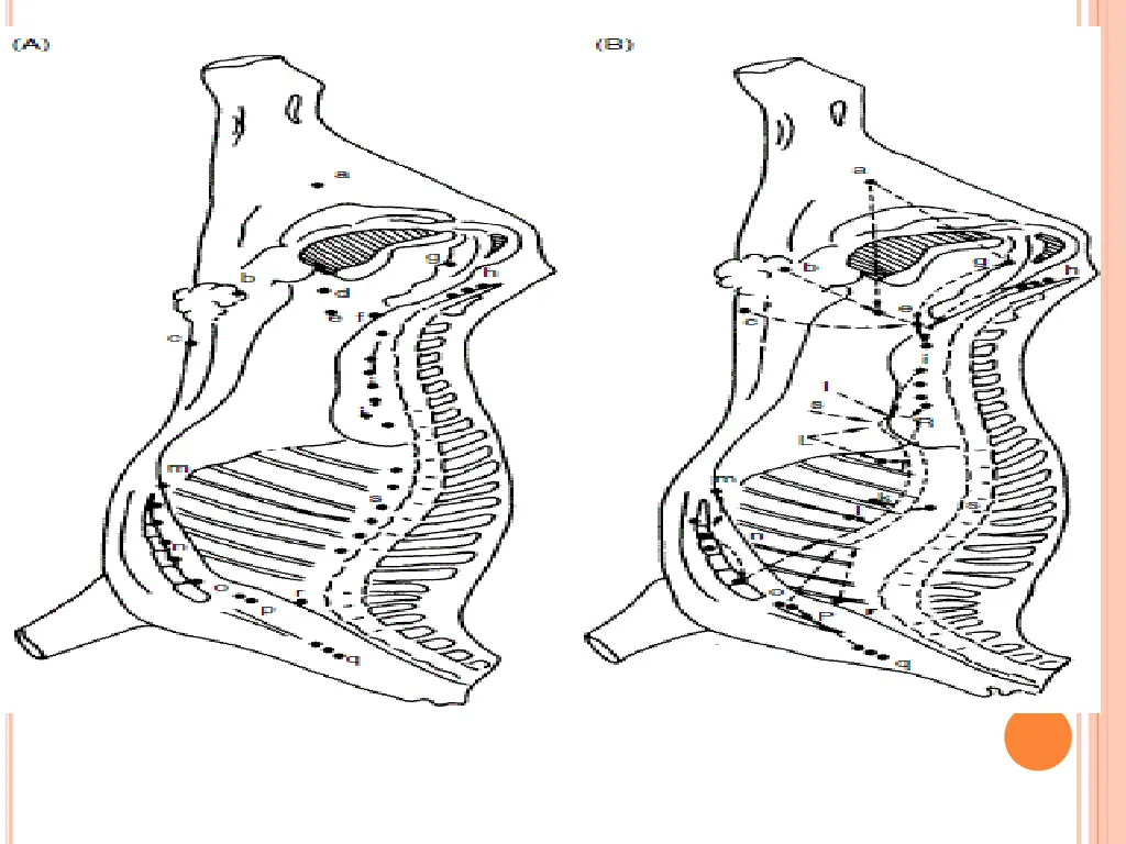 slide12