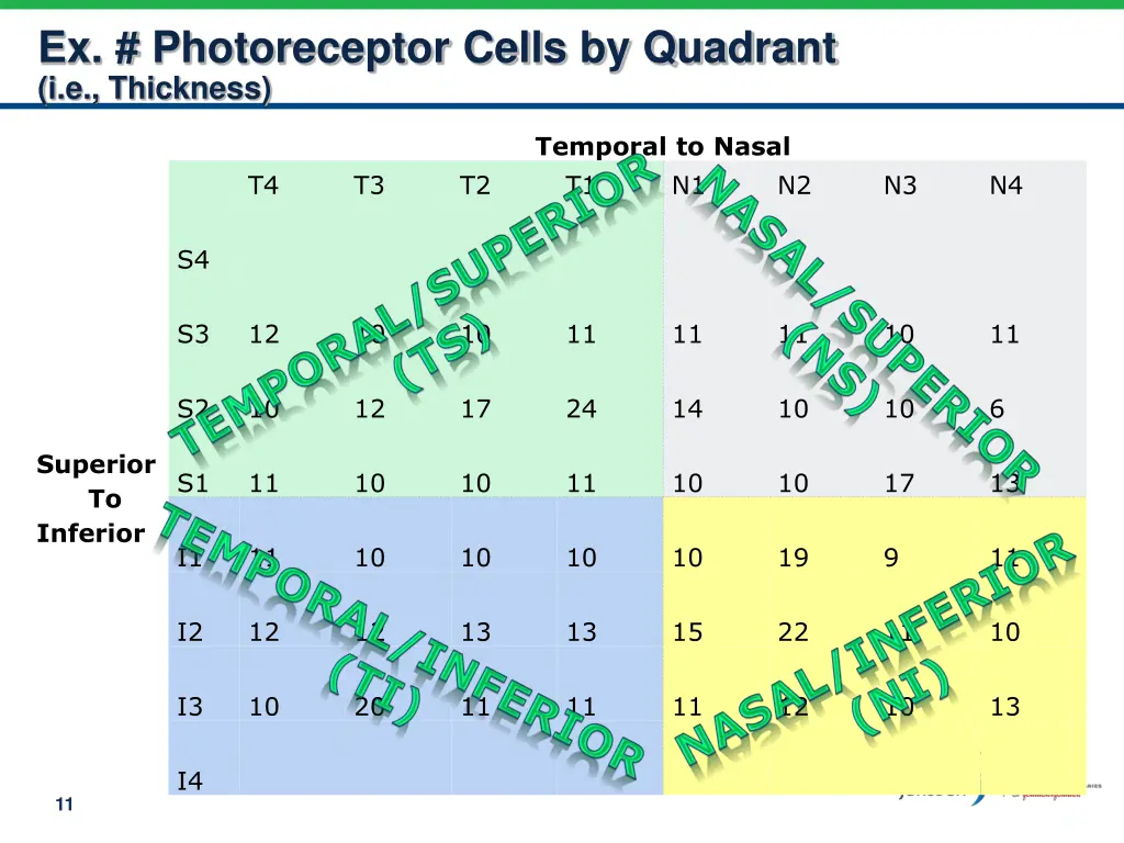 ex photoreceptor cells by quadrant i e thickness