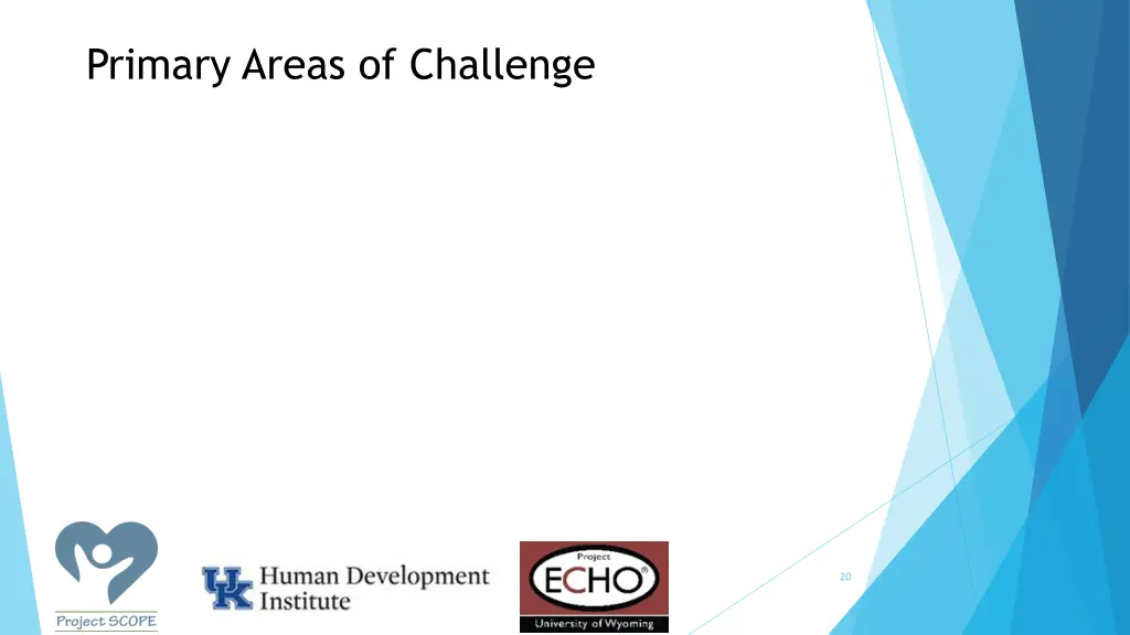 primary areas of challenge