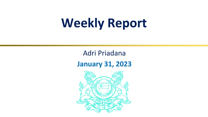 weekly report