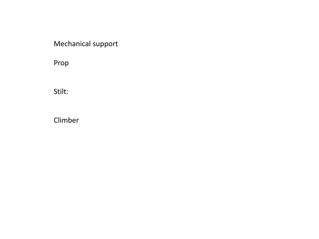 mechanical support