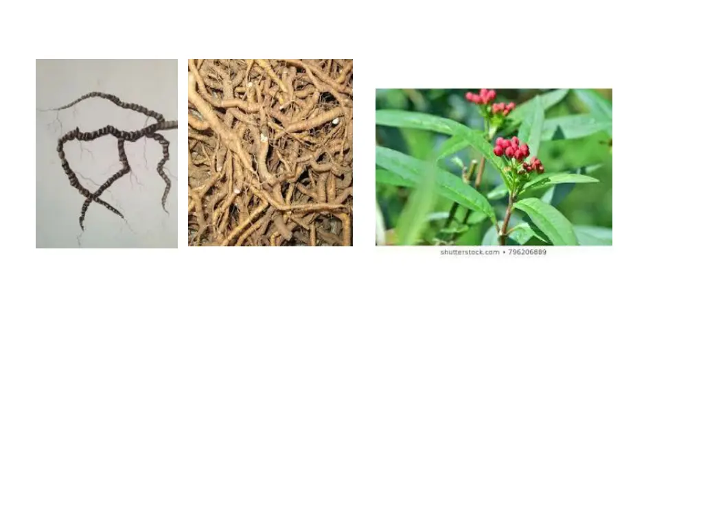 slide12