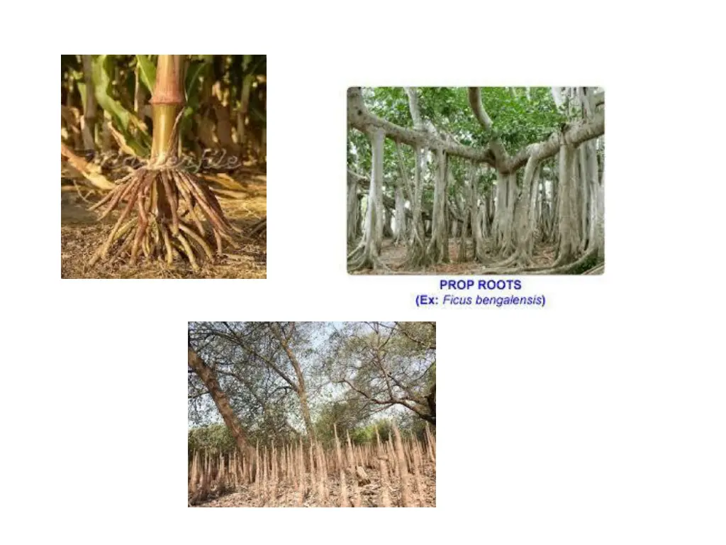 slide13