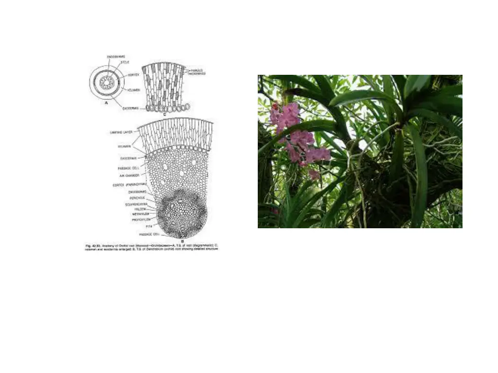 slide14