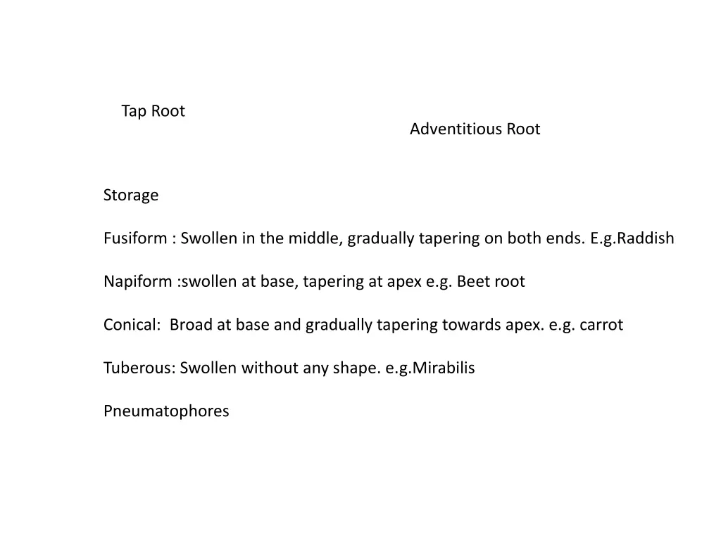 tap root