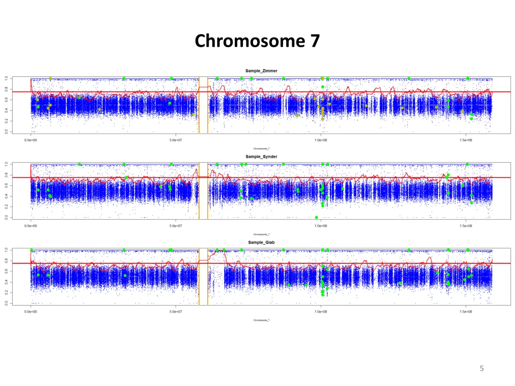 chromosome 7