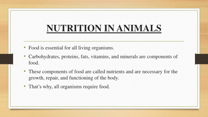 nutrition in animals