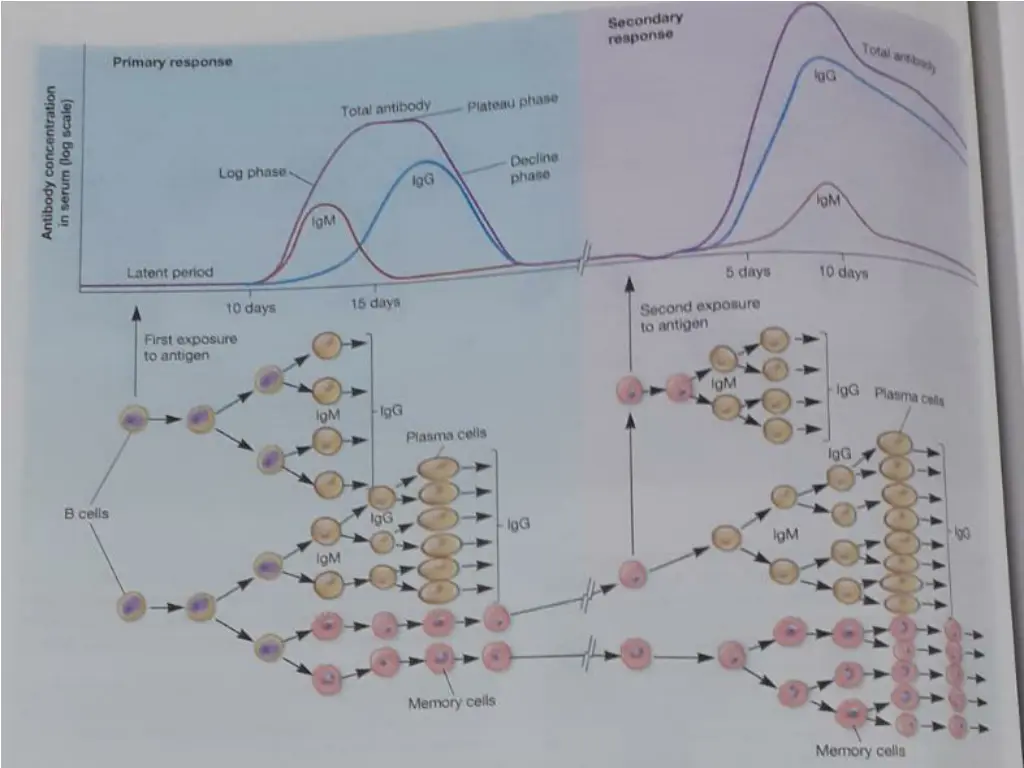 slide3