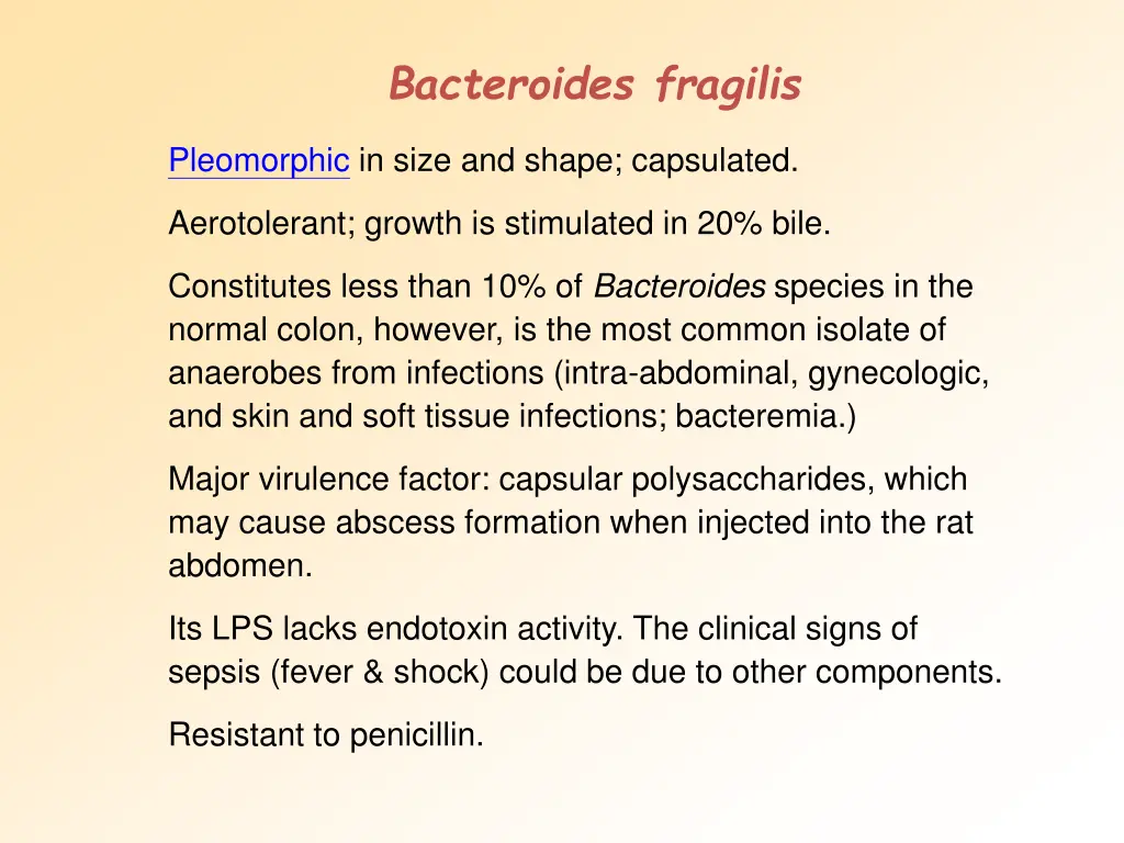 bacteroides fragilis