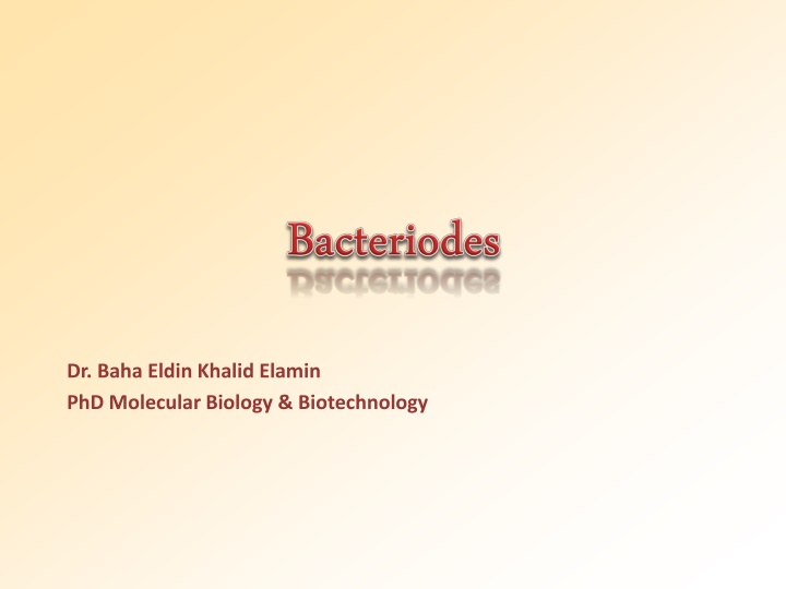 dr baha eldin khalid elamin phd molecular biology
