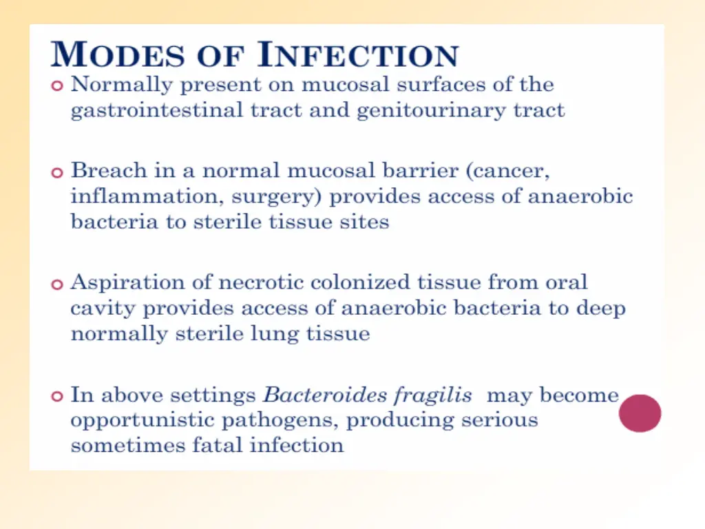 slide11