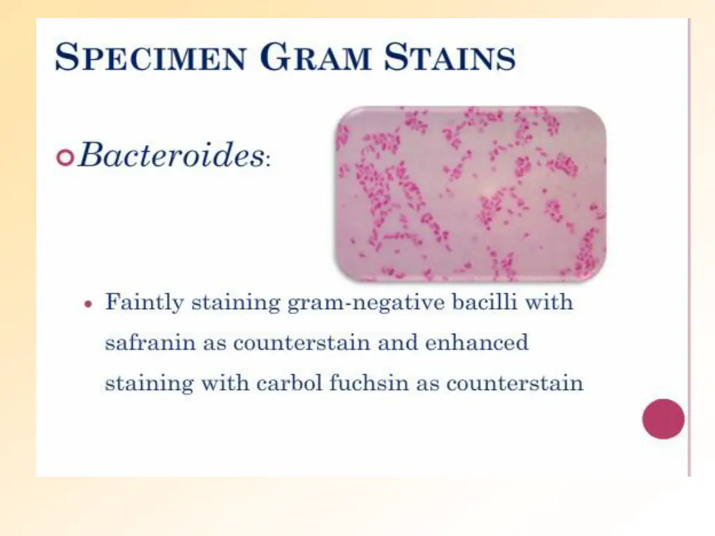 slide13