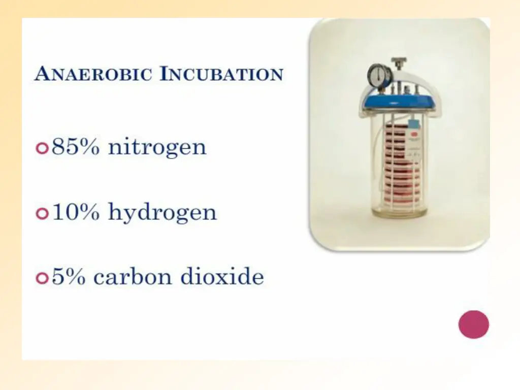 slide16