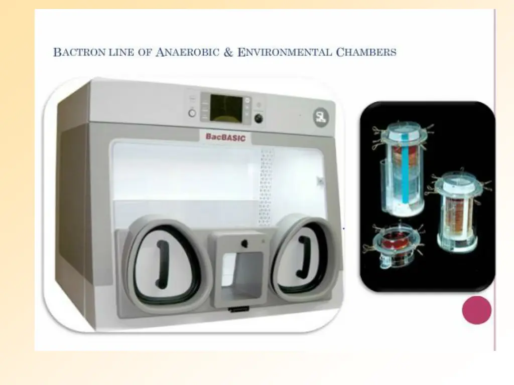 slide17