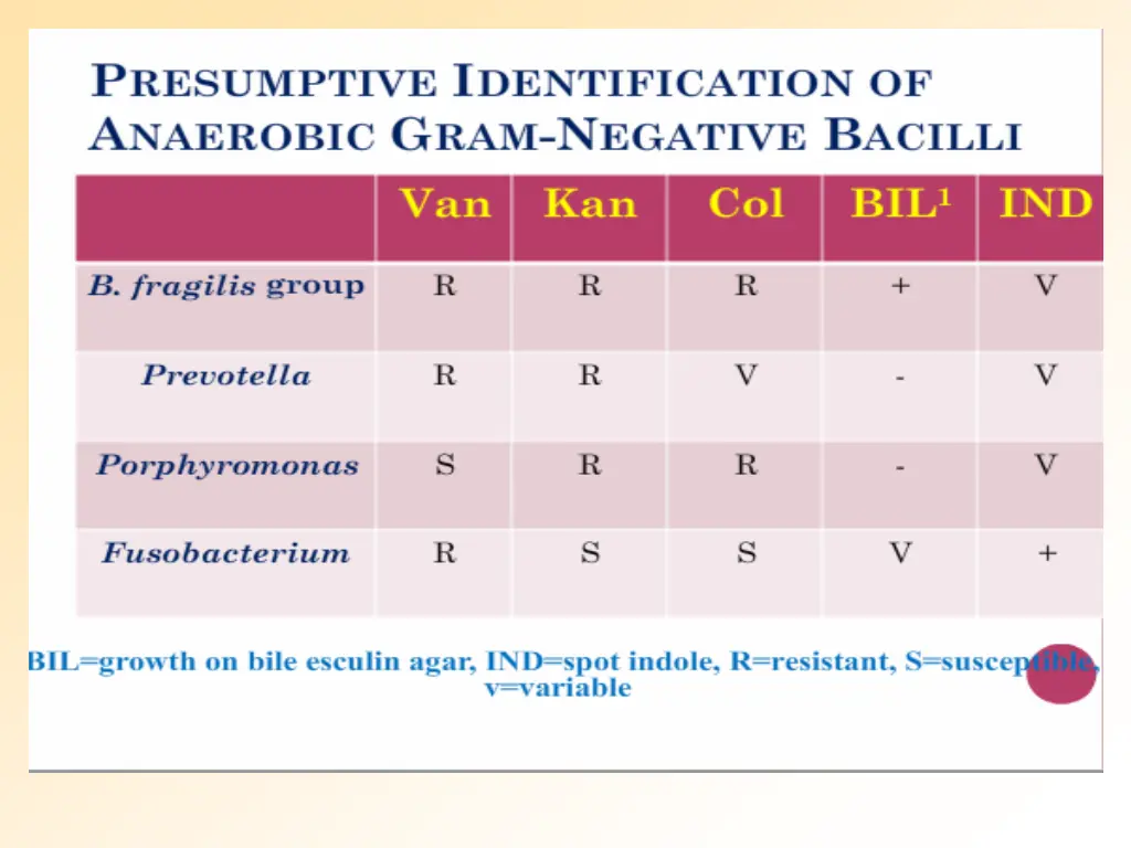slide18