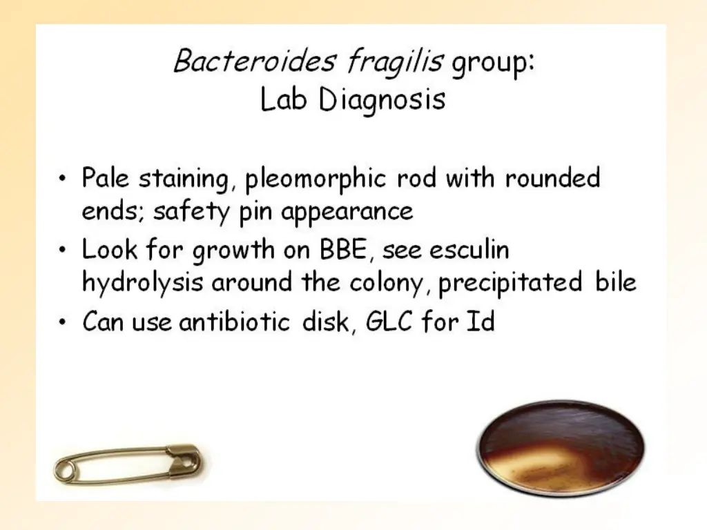 slide19