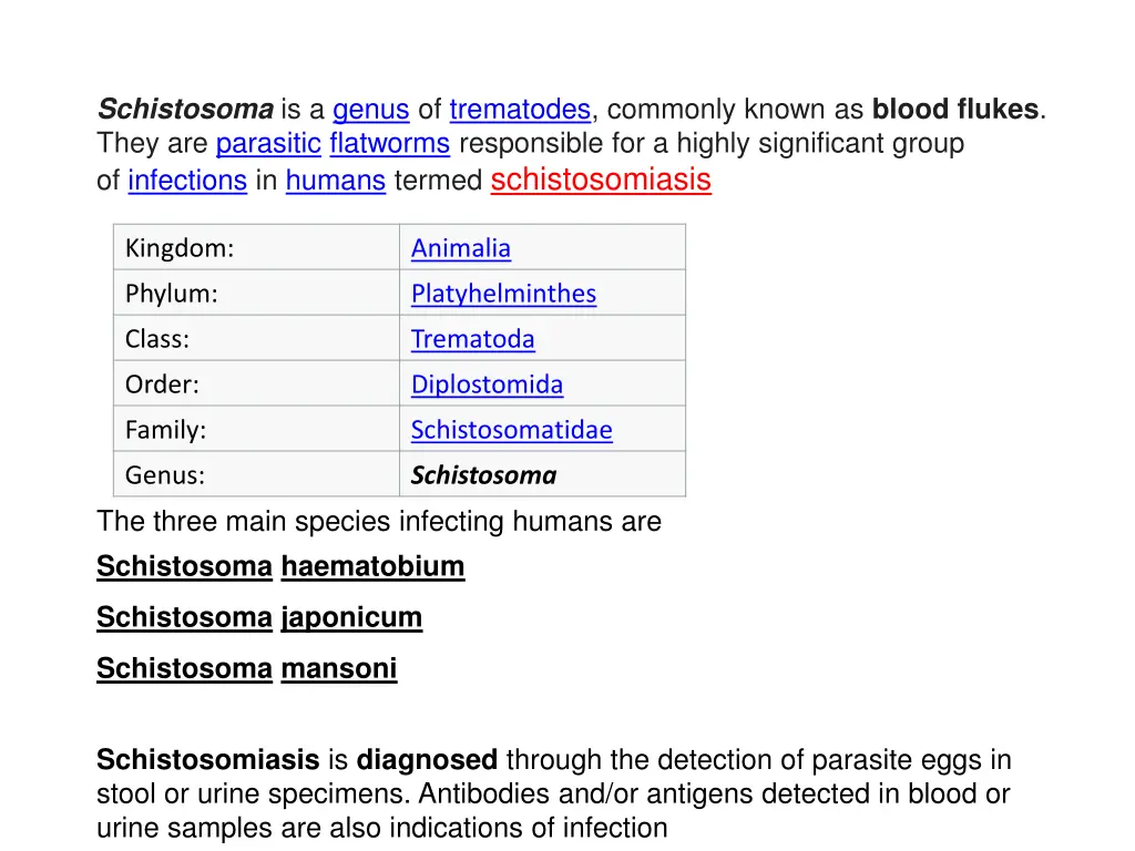 schistosoma is a genus of trematodes commonly