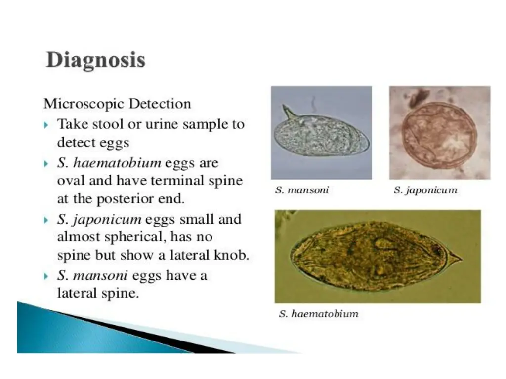 slide4