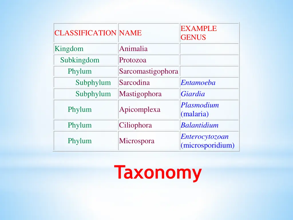 example genus