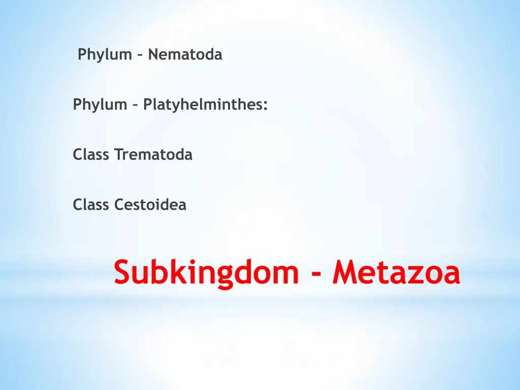 phylum nematoda