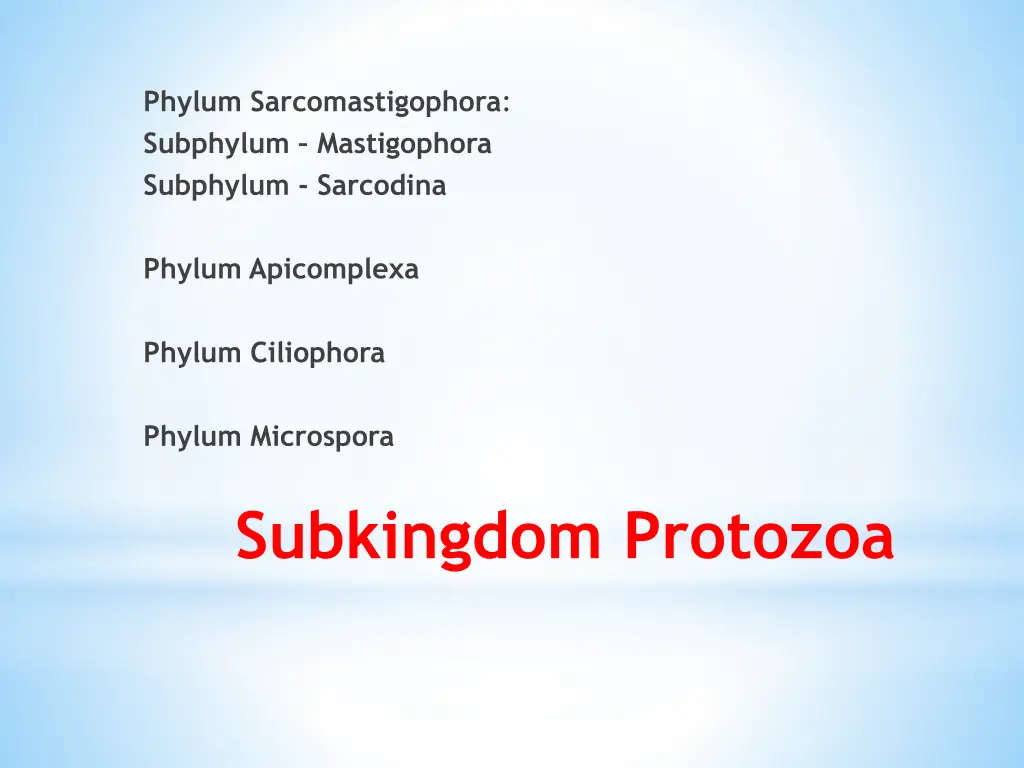 phylum sarcomastigophora subphylum mastigophora