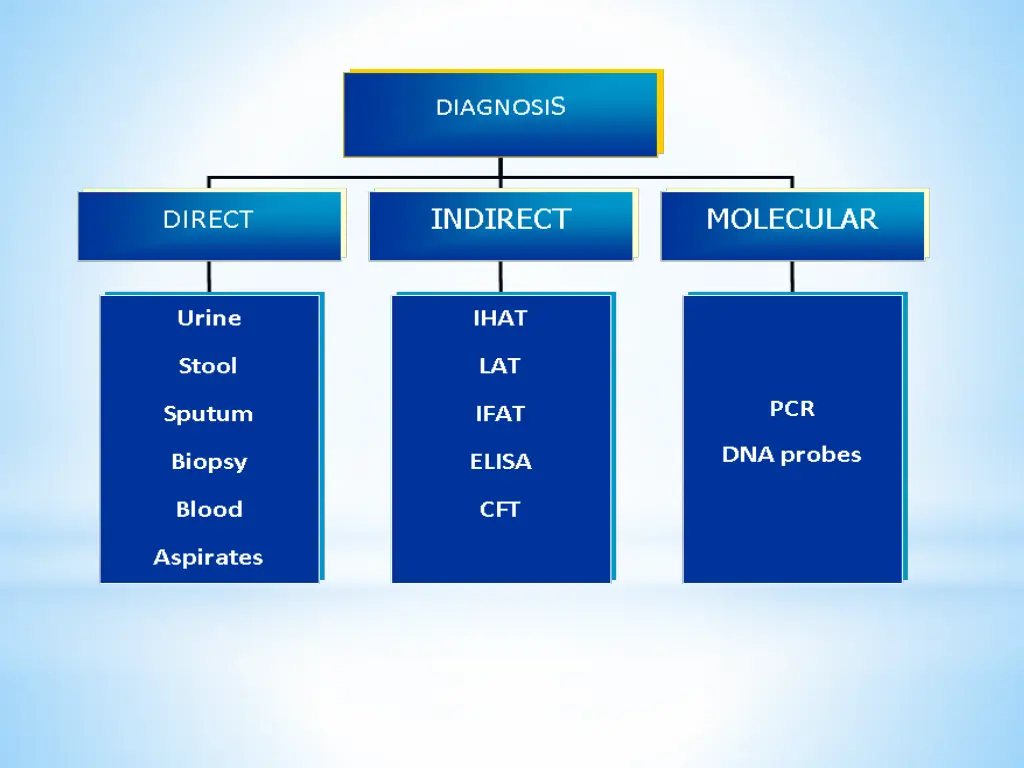 slide10
