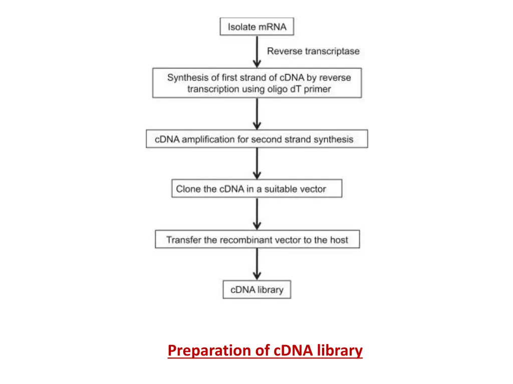 preparation of cdna library