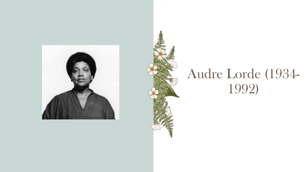 audre lorde 1934 1992