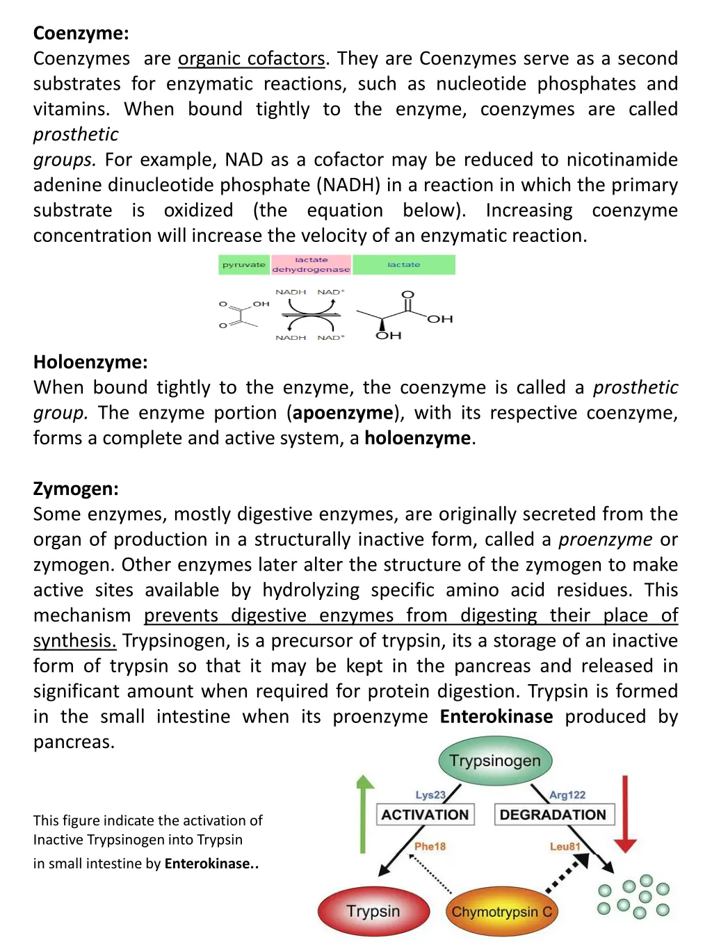 coenzyme coenzymes are organic cofactors they