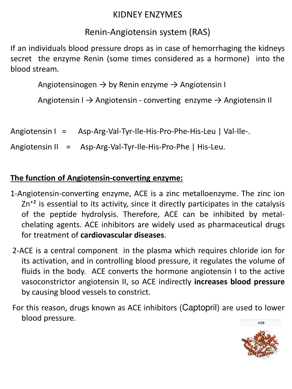 kidney enzymes