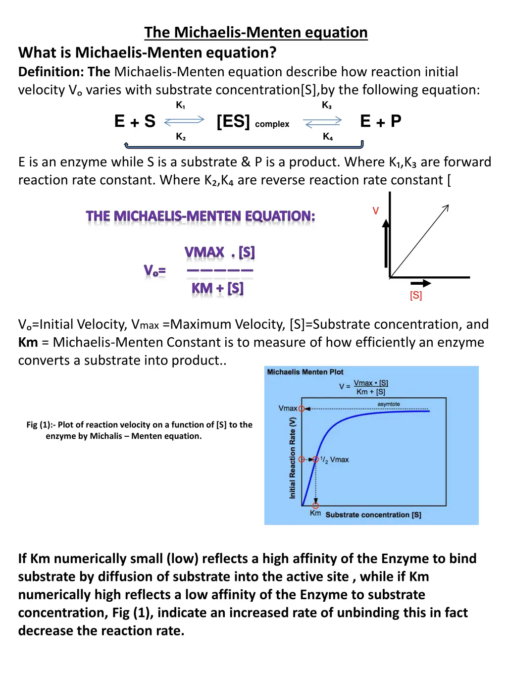 the michaelis menten equation