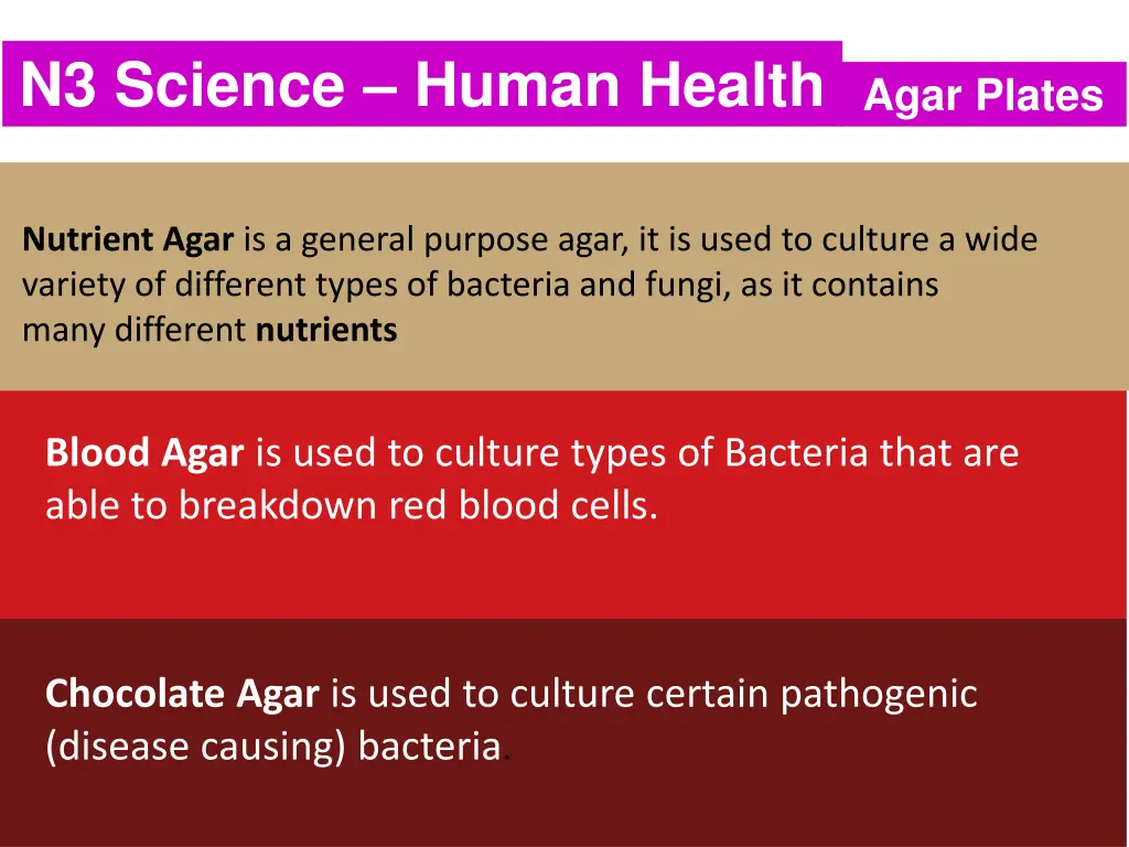 n3 science human health agar plates