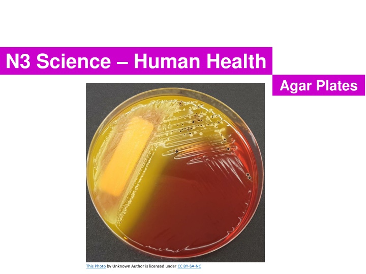 n3 science human health
