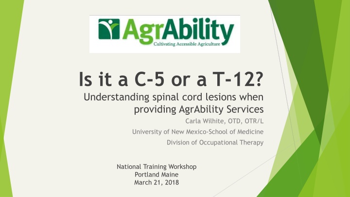 is it a c 5 or a t 12 understanding spinal cord