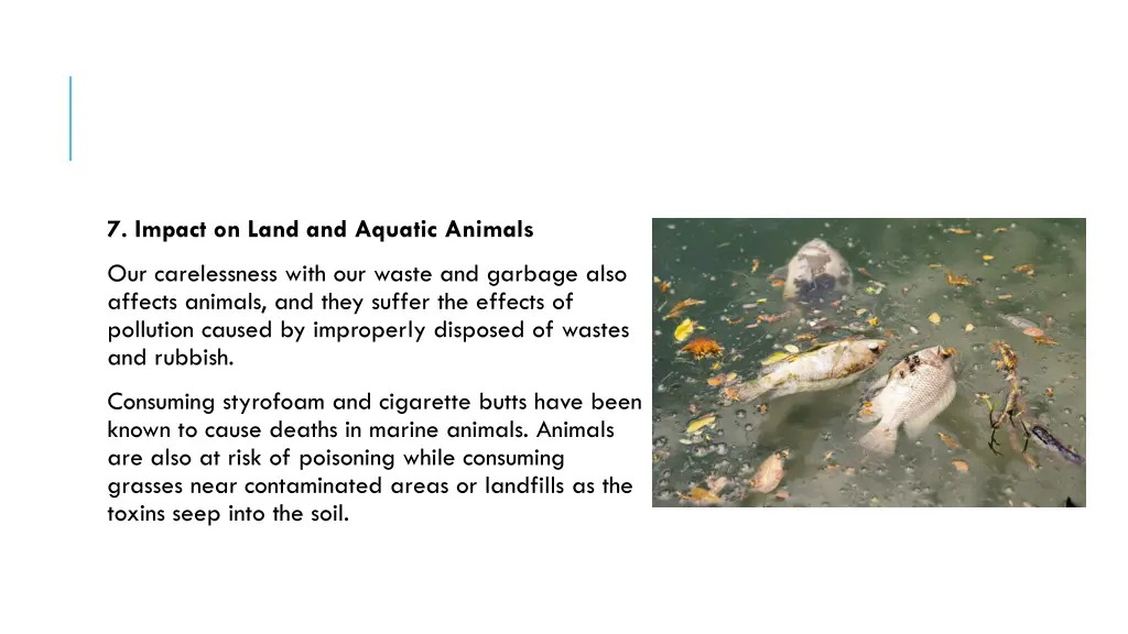 7 impact on land and aquatic animals