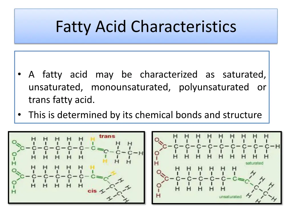 fatty acid characteristics