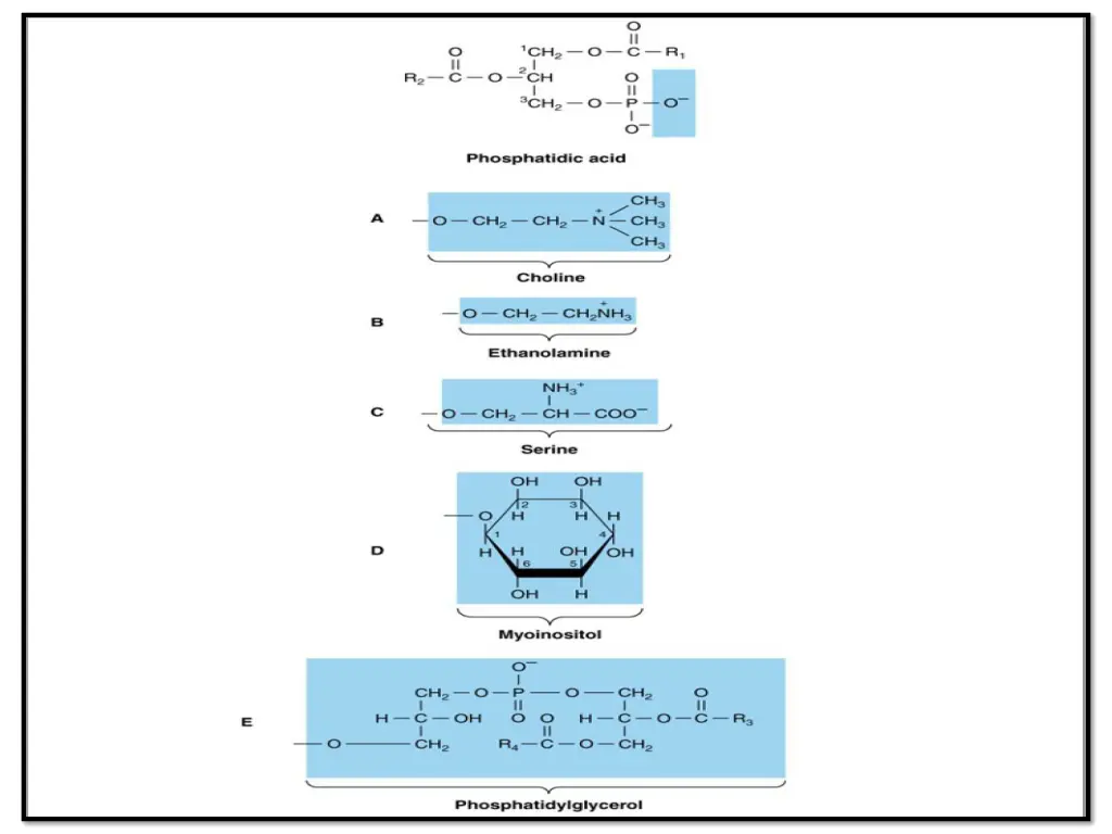 slide29